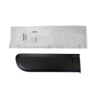 Door trim strip at the rear right