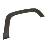 Decorative strip on the front right wing