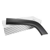 Decorative strip on the rear left wing