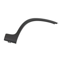 Decorative strip on the front fender on the right