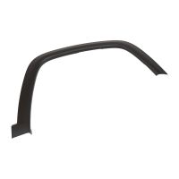 Decorative strip in the front right of the fender