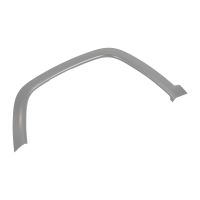 Decorative strip in front left on the fender