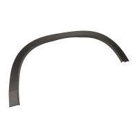 trim strip on the front right fender