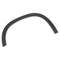 trim strip on the front left fender