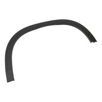 trim strip on the front right fender