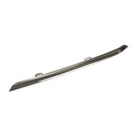 trim strip, radiator grille front left