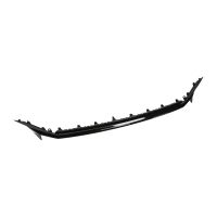 Front upper bumper trim strip