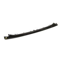 Front bumper trim strip, lower center
