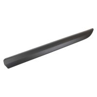 Trim strip front left door