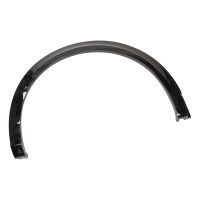 Trim strip for the rear right fender