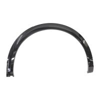 Trim strip for the rear left fender