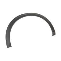 Trim strip for the front left fender