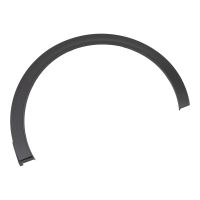Trim strip for the rear left fender