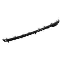 Decorative strip on the front bumper