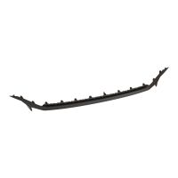 Decorative trim for the front bumper, top