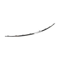 Decorative trim for the top of the front bumper