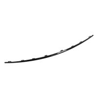Decorative trim for the top of the front bumper