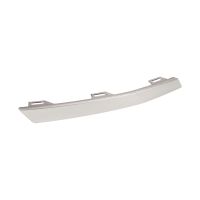 Front bumper trim strip