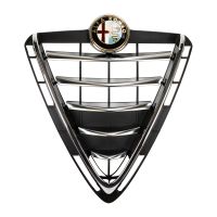 Radiator grille without aesthetics kit