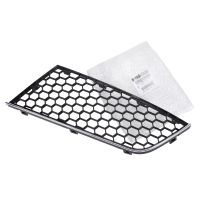 Left radiator grille