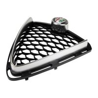 Radiator grille in front