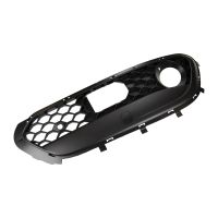 Radiator grille on the right