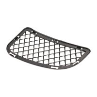 Radiator grille on the left side