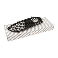 Left radiator grille