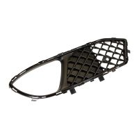 Left radiator grille