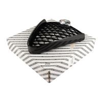 Radiator grille in front