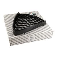 Radiator grille in front