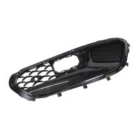 Radiator grille on the right