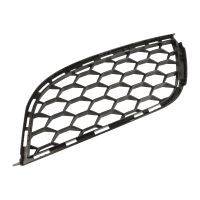 Front left radiator grille