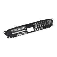 Front lower radiator grille