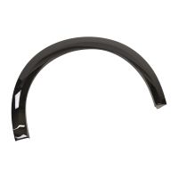 Trim strip, rear left wheel arch