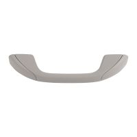 Handle for the sun visor