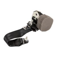 Safety belt rear left