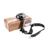 Safety belt front left