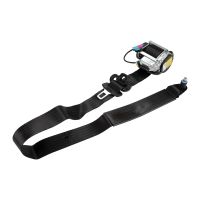 Safety belt front left