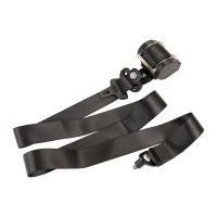 Seatbelt
