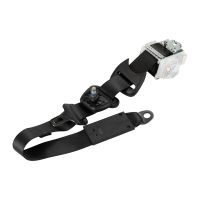 Seatbelt rear left