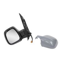 wing mirror on the left