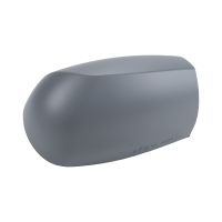 Outside mirror cover on the right