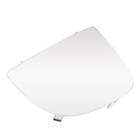 wing mirror glass at the bottom left