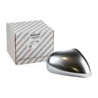 Outside mirror cap on the right