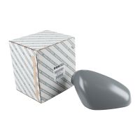 Outside mirror cap on the right