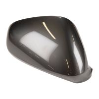 Outside mirror cap on the right