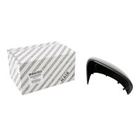 Outside mirror cap on the right