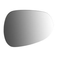 wing mirror glass on the left