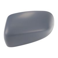 Exterior mirror cap on the left